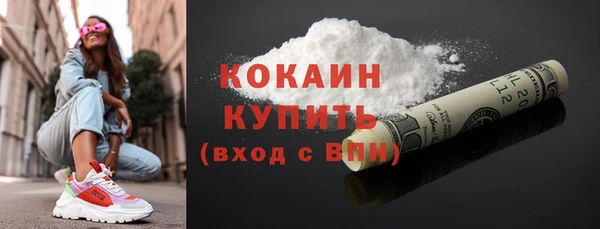 хмурый Сатка