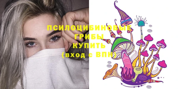 дживик Алексеевка