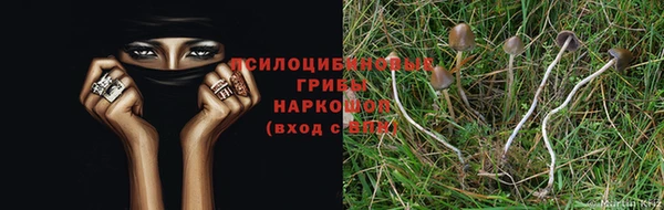 кокаин колумбия Алексин