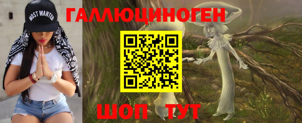 Аргун  Псилоцибиновые грибы мицелий  Вход с VPN  Галлюциногенные грибы GOLDEN TEACHER 