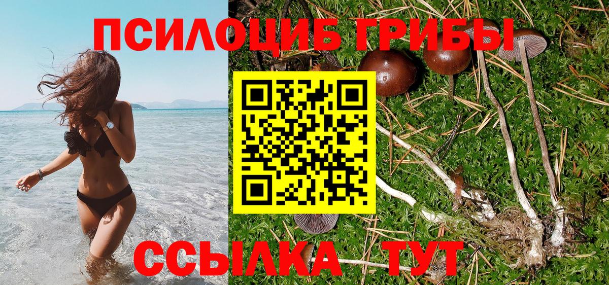 Галлюциногенные грибы ЛСД Аргун